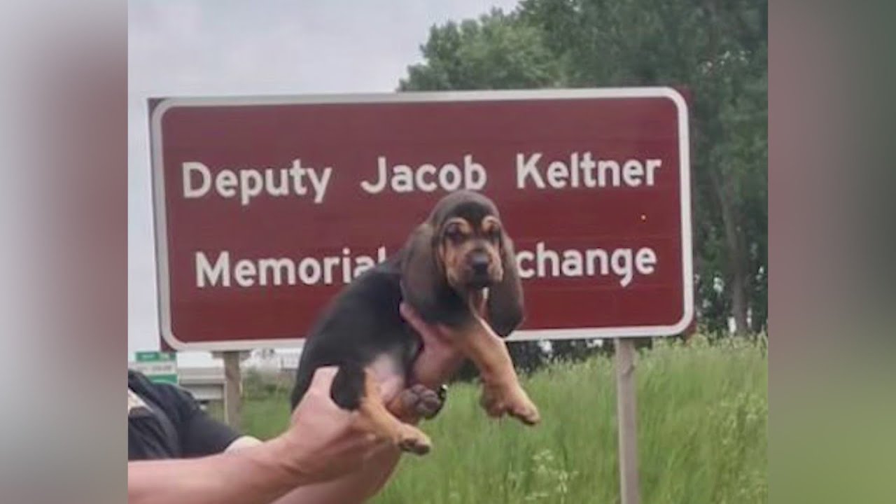 DuPage County Sheriff's Office names new K9 after slain Deputy Jake Keltner