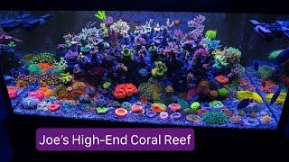 Joe's High End Coral Reef / 25+ Years of Experience