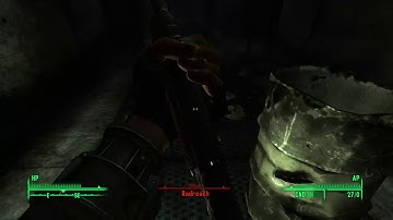 Radroach chase |Fallout 3|