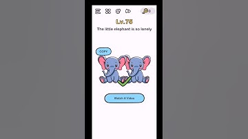 Brain out level 75 Walkthrough or Solution