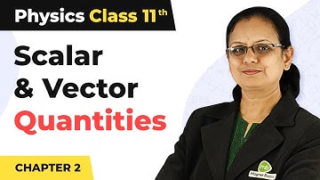 Classification of Scalar and Vector Quantities - Motion in a Straight Line | Class 11 Physics