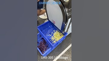 Vegetable cutter-food equipment | potato | cabbage | mushrooms