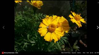 Full tutorial: https://www.dailytechtuts.com/1367/facebook-photo-or...