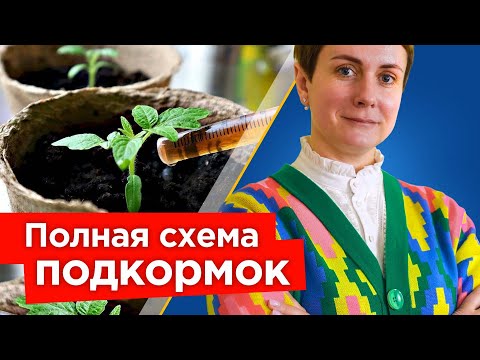 НЕ ПОДКАРМЛИВАЙТЕ РАССАДУ ПОКА НЕ ПОСМОТРИТЕ ЭТО ВИДЕО! Золотые правила схема подкормок рассады