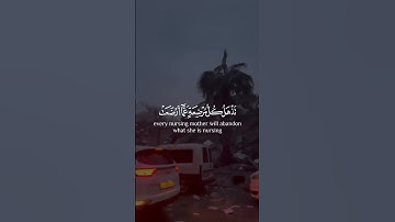 يا أيها الناس اتقوا ربكم  إن زلزلة الساعه شيء عظيم  #قرآن #آيات# تلاوة