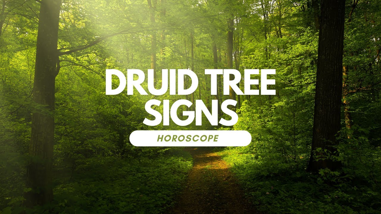 Druid Horoscope about  Tree Signs/Digital Art 