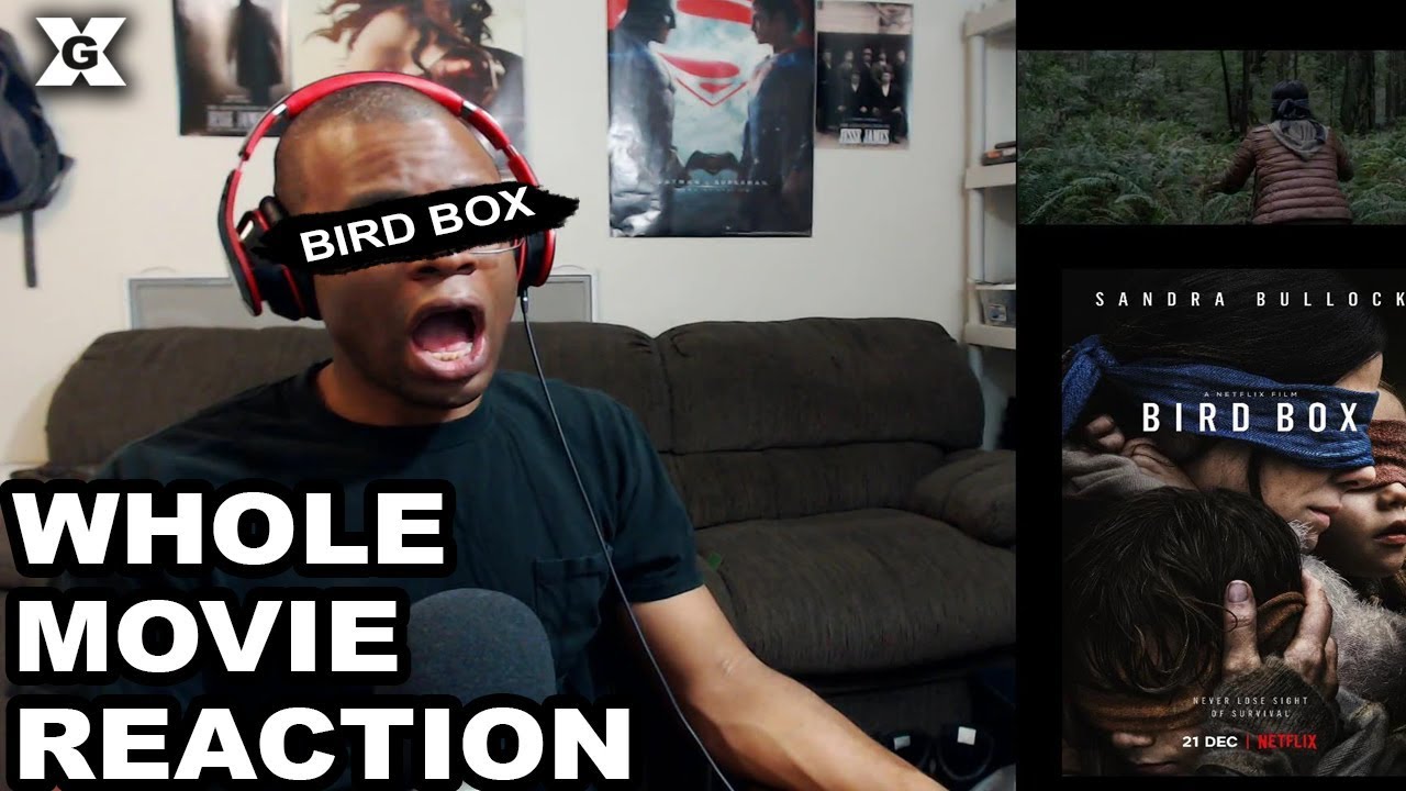 Bird Box - Whole Movie Reaction - YouTube