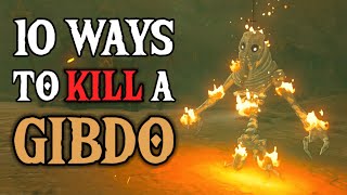 10 WAYS to Kill a GIBDO! | Zelda: Tears of the Kingdom