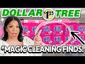 10 *ALL NEW* Dollar Tree Cleaning Products THAT WORK!