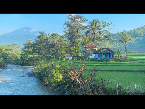 Banjarwangi Bikin Rindu. Suasana Pedesaan Rumah Di Sawah Saat Pagi Gunung Cikurai & Sungai Cikaengan