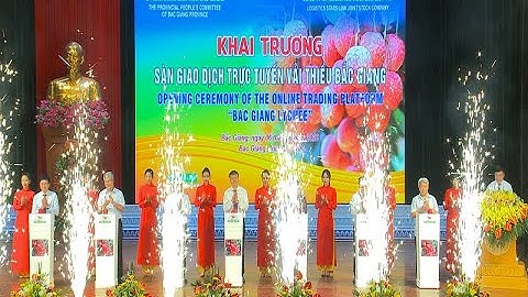 Bộ Công Thương hỗ trợ xúc tiến tiêu thụ vải thiều Bắc Giang