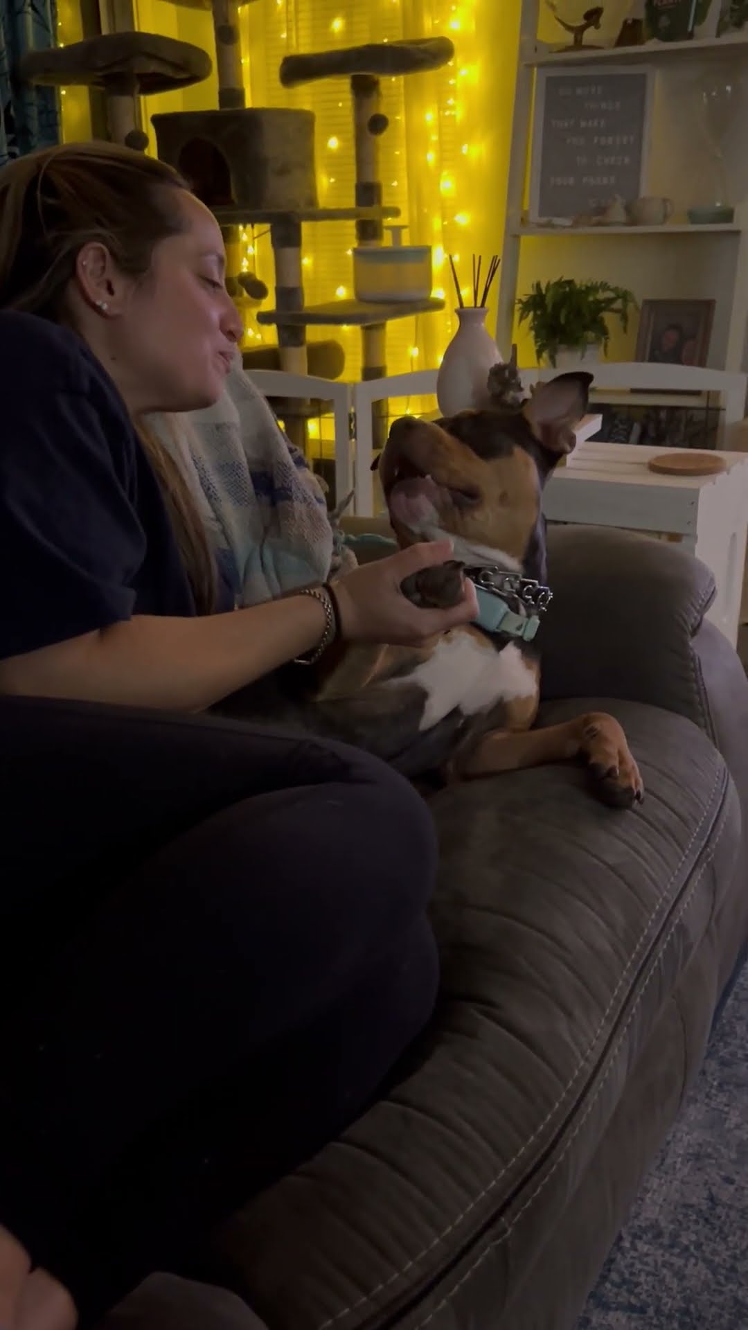 Pretending to Take a Bite Out of Our Dog || ViralHog