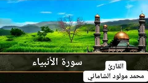 القارئ محمد مولود الشاماني سورة الأنبياء