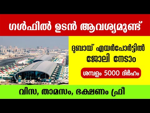 Gulf Job Vacancy Malayalam - Dubai Airport Job Vacancy | UAE Jobs, Dubai Latest Job Vacancy