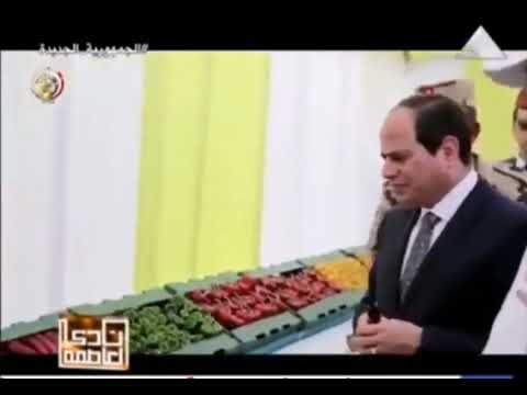 الله على المستقبل يابلدنا يا مصر فايزة أحمد