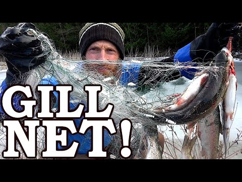 Testing Cheap  Survival Gill Net (Usually ILLEGAL!)