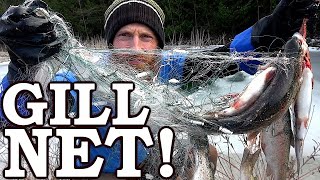 Survival GILL NETTING (Usually ILLEGAL!) | Rare Underwater Footage Survival GILL NETTING (Usually ILLEGAL!) | Rare Underwater Footage