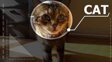 Face Tracking In Final Cut Pro — How To Track Objects (AND CATS 😻) In Final Cut Pro — Cool Effect!