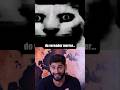 Político x Gato