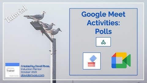Polls in Google Meet