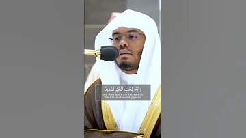 فضيلة الشيخ أ د ياسر الدوسري إن ربهم بهم يومئذ لخبير سورة العاديات 