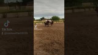 haciendo con mi yegua galerna con mis compañeros y compañeras un carrusel pero no es competición