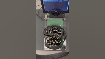 Hapticomm 2025