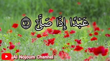 سورة العلق مكتوبة | بصوت القارئ الشيخ محمود كلداري - Al Nojoum Channel
