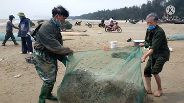 Nghề đánh lưới cá trích gần bờ vào buổi sáng ở biển Hải Hòa, cuộc sống dân vùng biển