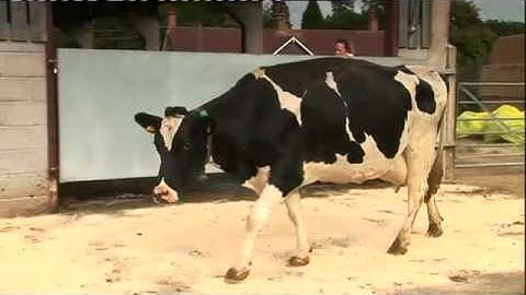 Mobility with AHDB Dairy