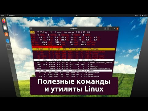 Команды и утилиты Linux, которые могут пригодиться каждому. От новичка до системного администратора