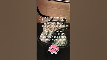 Your Brain has more storage than your Computer! 🤯 #didyouknow #facts #mindblown #shorts #brain