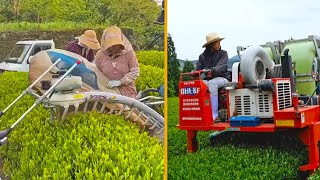World Ingenious Harvesting Technology, Amazing Agriculture Machines ▶5