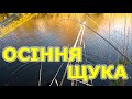 Спінінгова ловля щуки в жовтні! Спінінгова рибалка на щуку осінню! Риболовля на щуку в Україні