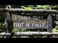 Adventurous Fitness Hike: The Cable Trail at Cane Creek Falls Put Me To The Test!