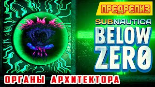 ОРГАНЫ АРХИТЕКТОРА ➤ Игра Subnautica BELOW ZERO Прохождение