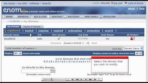 Making Domain Name Server (DNS) changes at Enom.com