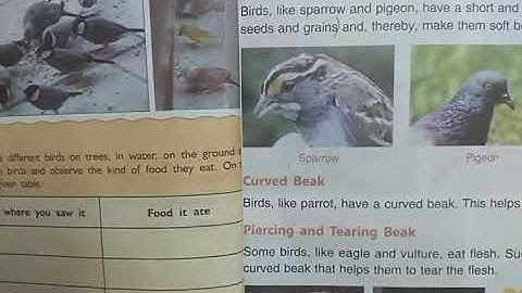 DAV Nahan Class-IV Science Lesson-5, Part 1