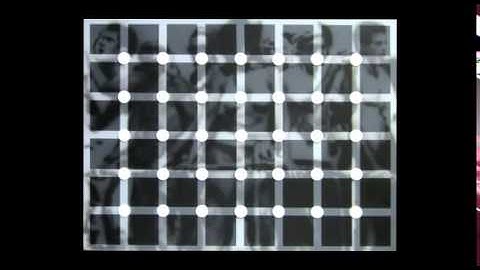 The Art of Visual Perception, Rodrigo Quian Quiroga & Mariano Molina