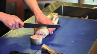MSFB Hake Steaks