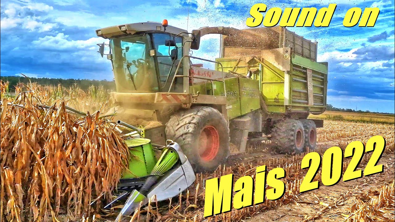 Der Spezial Häcksler gegen die Dürre - Claas Jaguar 900 Field Shuttle CSL | 4k