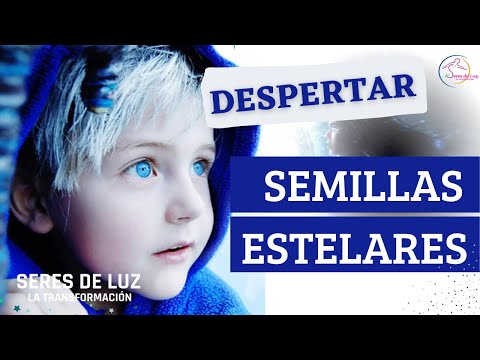 Video: De dónde vienen las semillas: tipos de semillas y su propósito