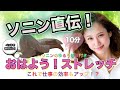 【ソニン】直伝！おはようストレッチ！寝ながら始める【10分】で仕事効率アップ！誰でも簡単にスッキリ目覚めで免疫力アップで1日を元気よく♡　＃ソニントレーニング　＃ストレッチ　＃ゆるり解説付き