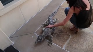 INTRUDER AT THE FAZE HOUSE