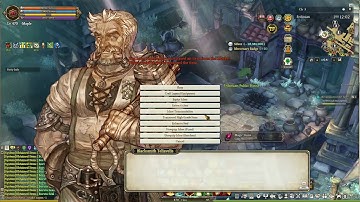 (Tree of Savior) 16th Boruta Seal +5