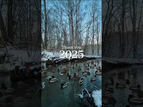 Stepping Into 2026 New Year Full Hearts Shorts 