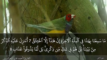 الصفحة 453 سورة ص بصوت القارئ المهندس أحمد فايز الحراسيس