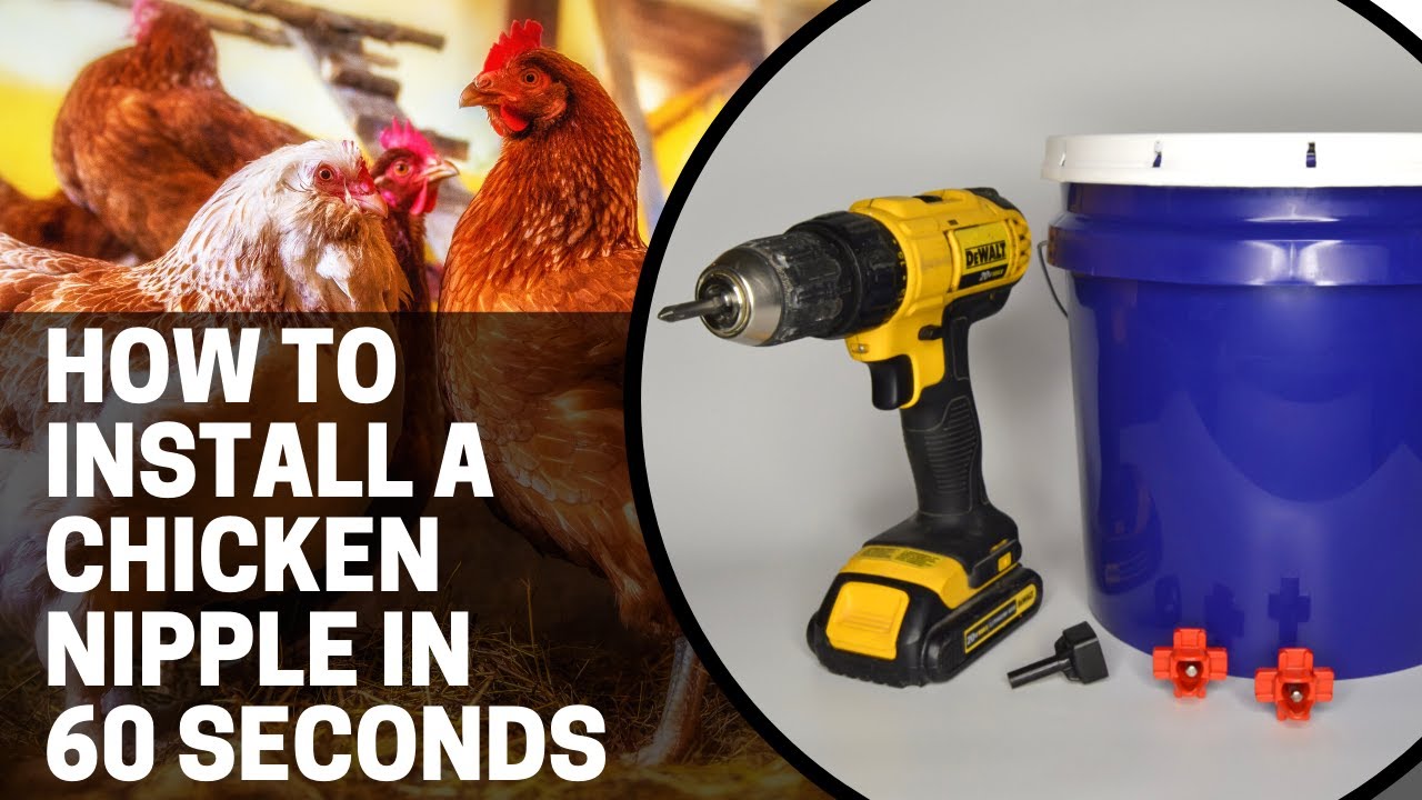 How To Install A Chicken Nipple In 60 Seconds Or Less - YouTube