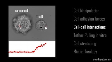 SENSOCELL optical tweezers: Application examples overview. By IMPETUX.