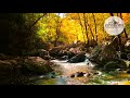 Kashmiri instrumental i soulful folk music with river sound  8 hours i espe emotions